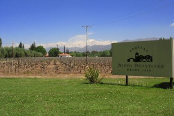 Argentina Mendoza - Bodega Nieto Senetiner - wine region