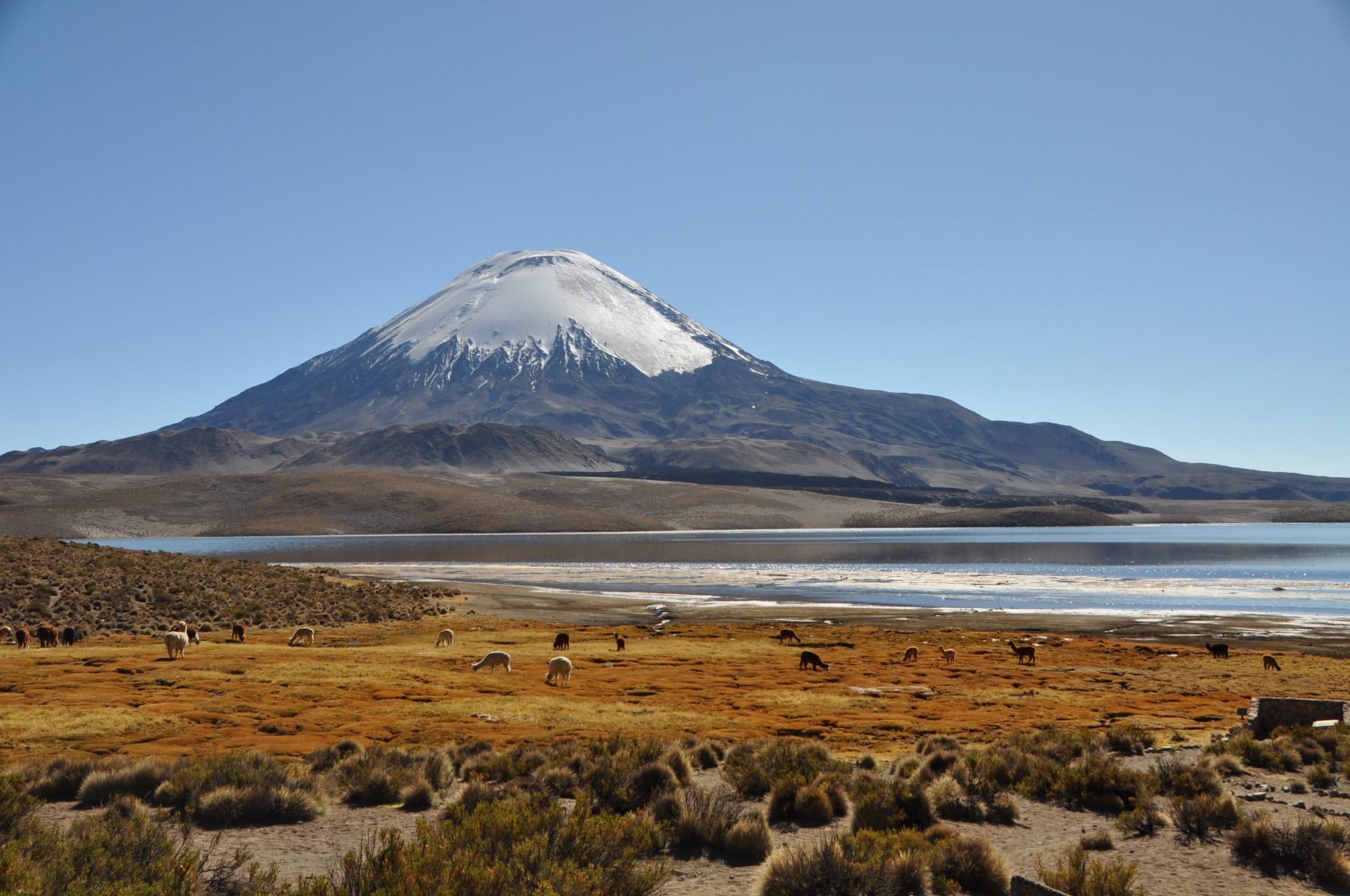 Chile Parinacota volcano