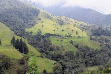 Colombia Koffiedriehoek - Cocora vallei