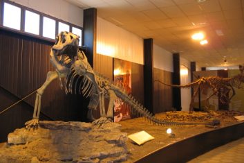 Argentina - Ischigualasto museum