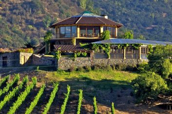 Chili - Santa Cruz / wineries / wijngaarden en Chile