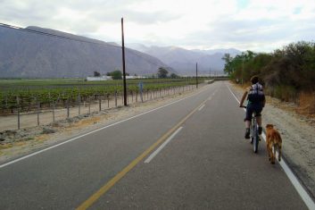 Argentinië Cafayate - fietstocht wijngaarden