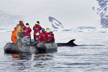 Antarctica - whale zodiac