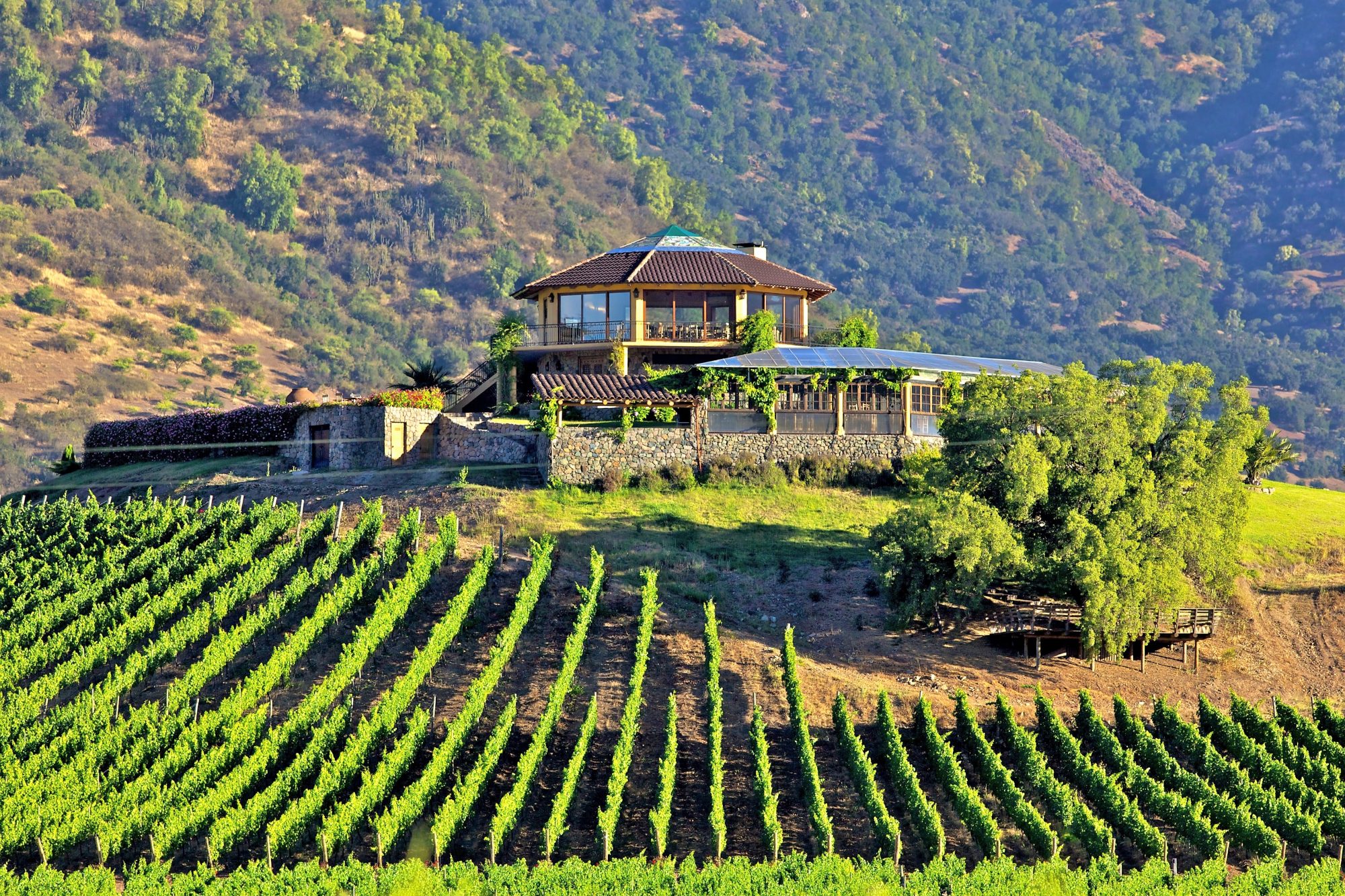 Chile - Santa Cruz - wijn