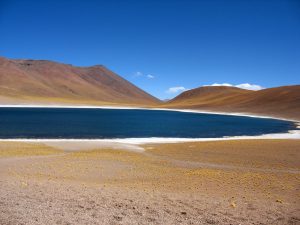 Chile San Pedro Atacama - Laguna Miscanti