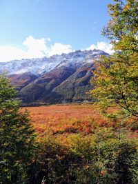 Argentinie - Patagonia - fall /herfst - hiking