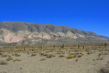 Argentinië Route Cachi - Salta. Cardones NP